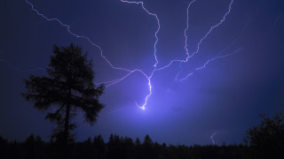 Lightning forest night tree silhouette - a tree in the foreground free wallpaper