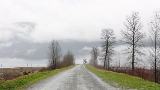 Road trees cloudy sky lighthouse - a light house in the distance free wallpaper