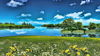 Lake flowers trees blue sky - flower and trees free wallpaper