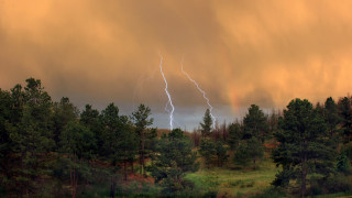 Large cloud lightning forest bush - a large cloud free wallpaper
