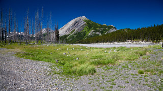 Grassy field mountains road trees - a grassy field free wallpaper