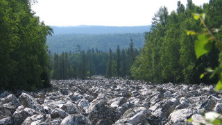 Rocky road forest mountain nature - the middle of a forest area free wallpaper