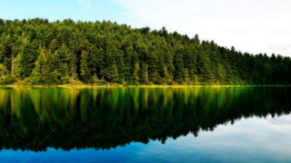 Lake forest water sky clouds - tree and water free wallpaper