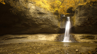 Waterfall forest yellow leaves tiltshift - yellow leaf free wallpaper
