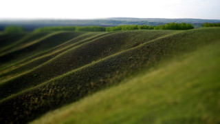 Field trees sky clouds tiltshift - tilt shift free wallpaper