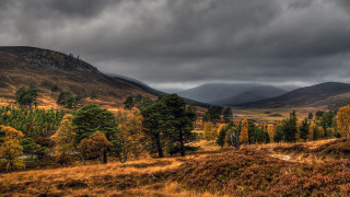 Mountain field forest sunset cloudy 2 - rich moody colour free wallpaper