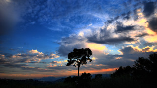 Silhouetted tree cloudy sunset mountains - colorful cloud free wallpaper