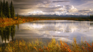 Lake trees mountains autumn sunset - tall grass and trees free wallpaper