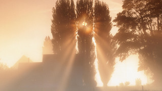 Foggy morning sunshine ecological art - a clock tower free wallpaper