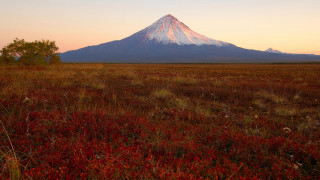 Red plants mountain autumn sunset - the distance free wallpaper