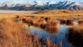 Small stream dry grass mountains - a dry grass field free wallpaper