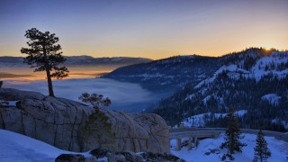 Scenic mountain bridge tree foggy - scenic free wallpaper