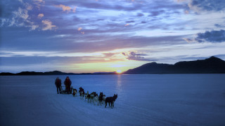 Horses riding snowfield sunset mountains - bruce munro free wallpaper