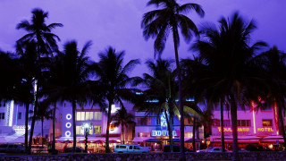 Palm trees building night purple - david lachapelle free wallpaper