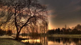 Tree lake sunset landscape impressionist - sunset free wallpaper