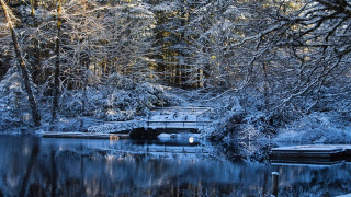 Bridge lake snow trees forest - a few boat free wallpaper