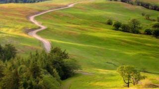 Winding road green field trees 4 - road free wallpaper
