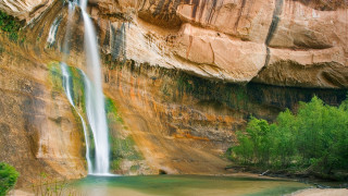 Waterfall forest green tree nature - a large body of water free wallpaper