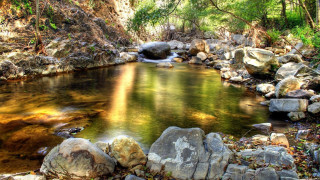Lush green forest stream waterfall 7 - a stream free wallpaper