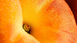 Yellow apple water droplets macro - a yellow apple free wallpaper