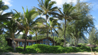 House palm trees mountain blue - douglas robertson bisset free wallpaper