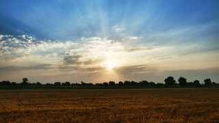 Sunlit clouds over grassy field - the cloud above free wallpaper