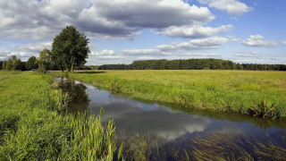 Small stream lush field forest - beautiful landscape free wallpaper