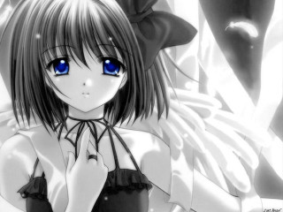 Girl blueeyes hat angel wings - her chest free wallpaper