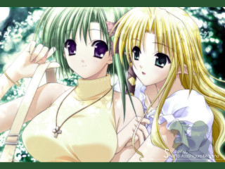 Anime girls long hair breasts - a picture together in front free wallpaper