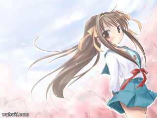 Girl kyoto anime spring sailor - blue skirt free wallpaper