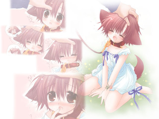 Girl dress sitting anime ears - furry free wallpaper
