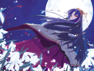 Purple dress field fullmoon snowflakes - a field of flowers free wallpaper