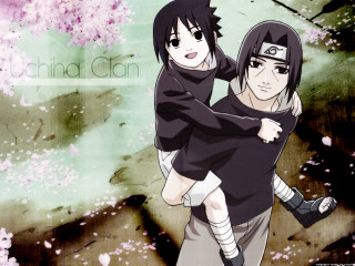 Pink flower ninja sakura sitting - else alfelt free wallpaper