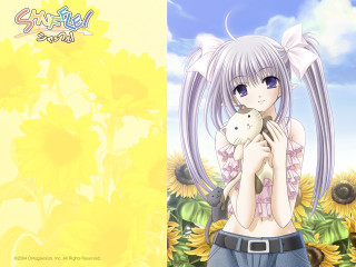 Girl stuffedanimal sunflower field outdoors - stuffed free wallpaper