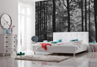 Bedroom wall mural trees bed - forest free wallpaper