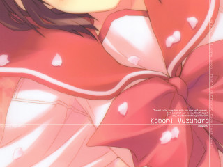 Red bow pink dress cherry - her chest free wallpaper