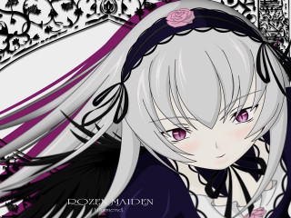 Anime girl white hair pink 4 - a pink rose free wallpaper