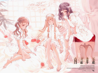 Girls bed room window wallpaper - a picture free wallpaper