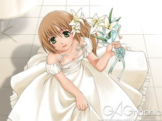 Romantic wedding girl bouquet bathroom - official art free wallpaper for desktop