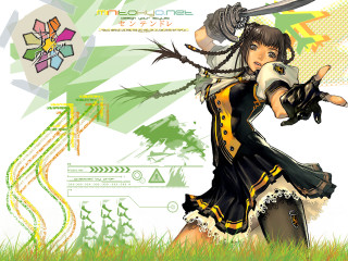 Woman sword dress flower pattern - a pattern of flowers free wallpaper