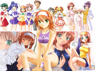 Anime girls group posing blush - a picture together free wallpaper