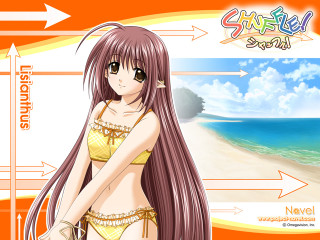 Beach girl bikini sunset horizon - a girl in a bikini free wallpaper