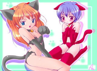 Anime girls cat ears tail - their back free wallpaper