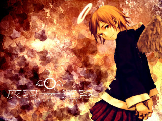 Angel wings manga autumn sunset - an angel free wallpaper