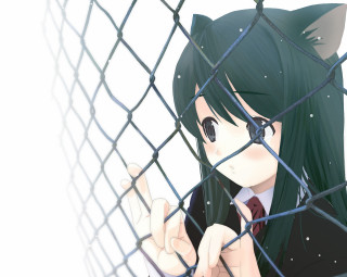 Chizuko yoshida girl fence cat - her head free wallpaper for desktop