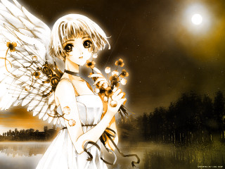 Angel wings girl moon flowers - tree and water free wallpaper