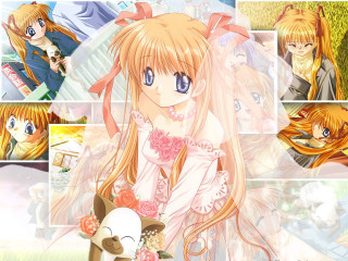 Girl long hair dress teddy - a teddy bear free wallpaper
