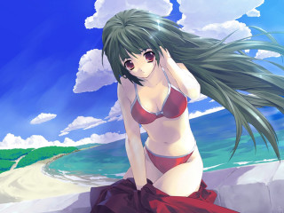 Beach woman bikini ocean hair - the wind free wallpaper