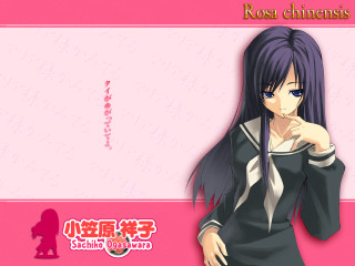 Woman purplehair blackdress pinkbackground sailoruniform - a pink border free wallpaper
