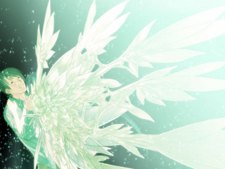 Angel green eyes holding flower - a green background free wallpaper for desktop